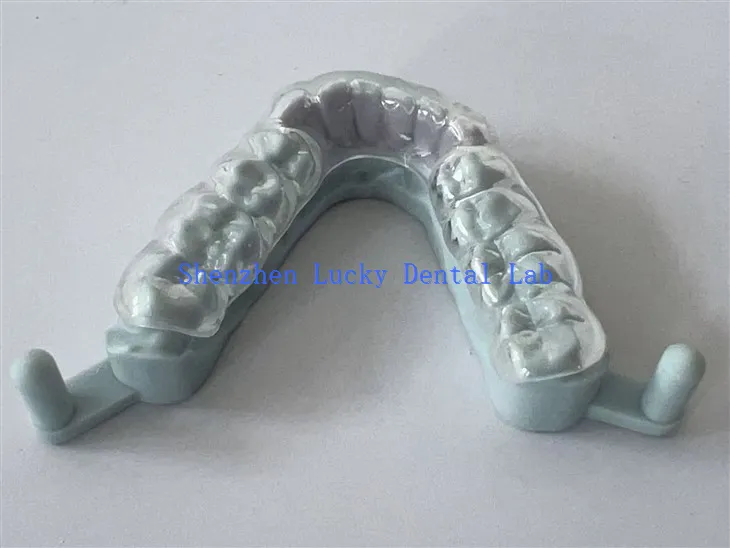 מפעל מעולה תלת מימד של שומר לילה קשה